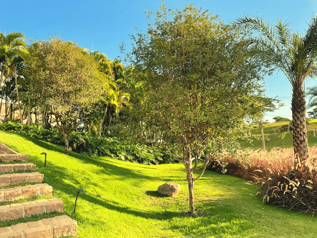 Quinta das Duas Barras jabuticabeiras